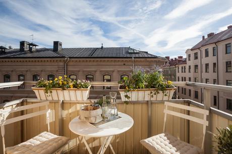 La historia en busca de la luz. 10