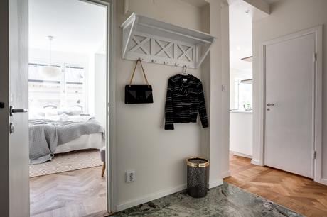 La historia en busca de la luz. 13