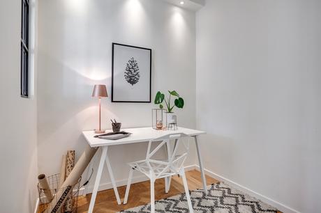 La historia en busca de la luz. 14