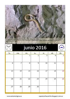 Calendario AeE-GEV. Junio 2016 Calendario AeE-GEV. Junio 2016