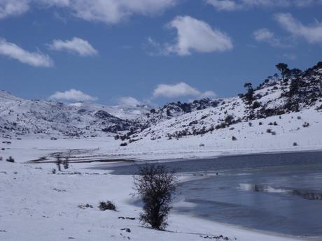 En soledad por Cazorla y campos de Hernán Perea(II) Campos Hernán Perea