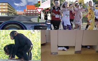 10 CANCIONES PARA ESCUCHAR 10 CANCIONES PARA ESCUCHAR