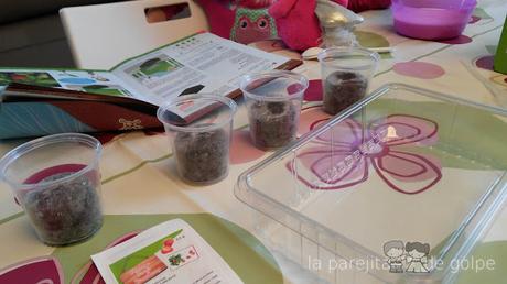 ¡Review y sorteo! Invernaderos de minifrutas de Science4you