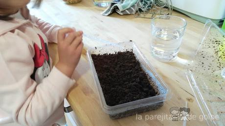 ¡Review y sorteo! Invernaderos de minifrutas de Science4you