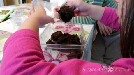 ¡Review y sorteo! Invernaderos de minifrutas de Science4you