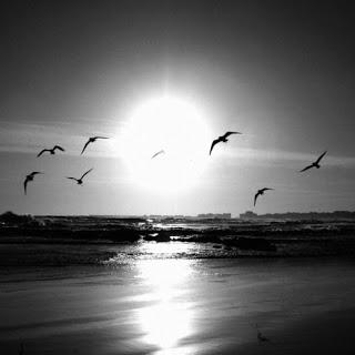 ESE PRECISO MOMENTO ESE PRECISO MOMENTO