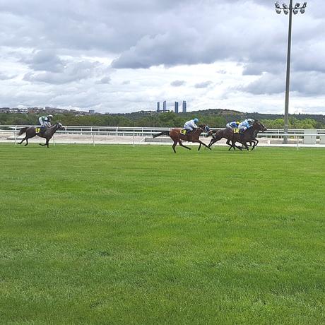 gran-premio-de-madrid gran-premio-de-madrid-hipodromo