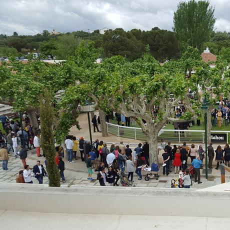 paddock-desde-club-carudel paddock-hipodromo-madrid