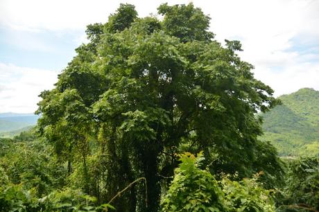 Cascadas Kuang Si, un espectáculo natural