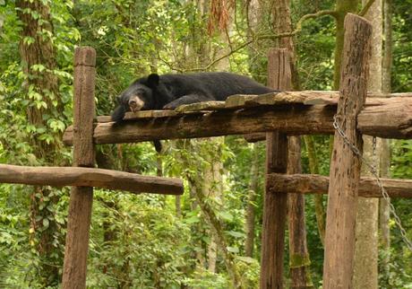 Cascadas Kuang Si, un espectáculo natural