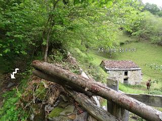 Pola del Pino-Pico Praera-L.lomba Yana