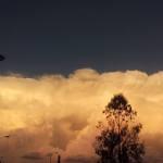 Galería: Espectacular tormenta arriba a San Luis Potosí