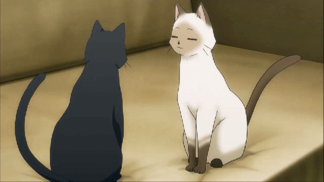 Review de la temporada de anime Review de la temporada de anime
