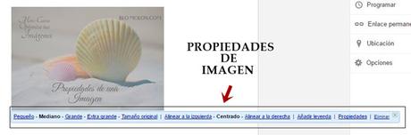 propiedades-de-una-imagen-a propiedades de una imagen a