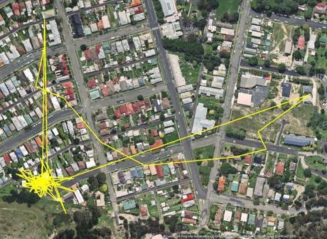 Un GPS descubre las aventuras nocturnas de los gatos. Seguimiento por gps de los gatos