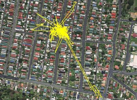 Un GPS descubre las aventuras nocturnas de los gatos. Seguimiento por gps de los gatos