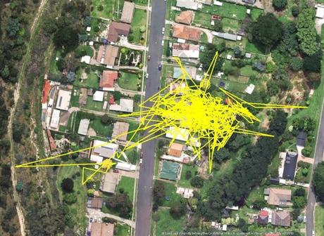 Un GPS descubre las aventuras nocturnas de los gatos. Seguimiento por gps de los gatos