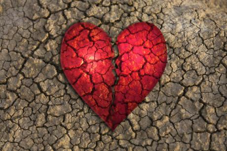¿Quién mató al amor? ¿Quién mató al amor?