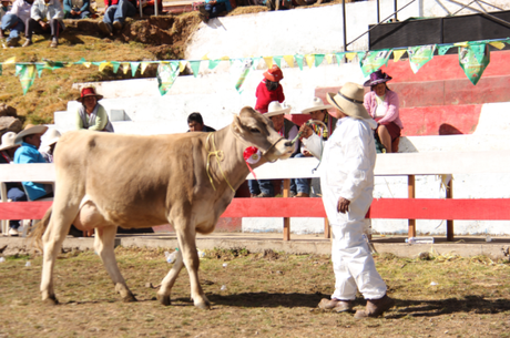 feria-chamaca