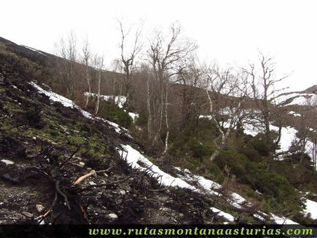 Atravesando monte quemado hacia la braña Chauchina Atravesando monte quemado hacia la braña Chauchina