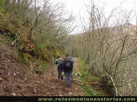 Sendero entre bosque y atravesando portilla Sendero entre bosque y atravesando portilla