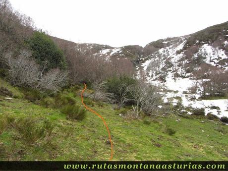Camino entre la pradera. Camino entre la pradera.
