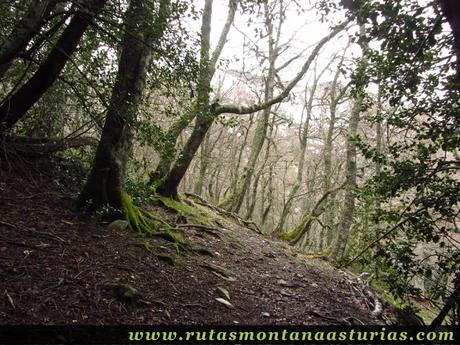 Ruta al Cueto el Fraile (1.875 m.) desde Riomolín, Cangas del Narcea Ruta al Cueto el Fraile (1.875 m.) desde Riomolín, Cangas del Narcea