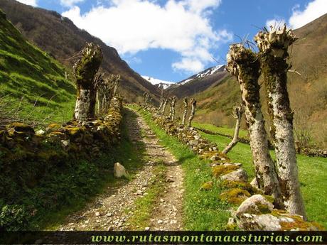 Camino por el parque natural de las fuentes del narcea Camino por el parque natural de las fuentes del narcea