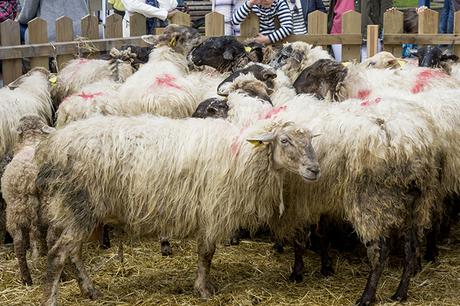 MERCADO MENSUAL DE ARRIETA - BIZKAIA