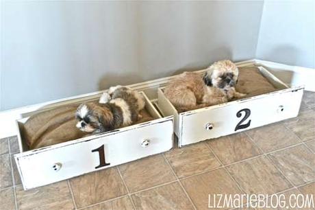 5 Ideas de camas para mascotas - DIY - 5 Ideas de camas para mascotas - DIY -