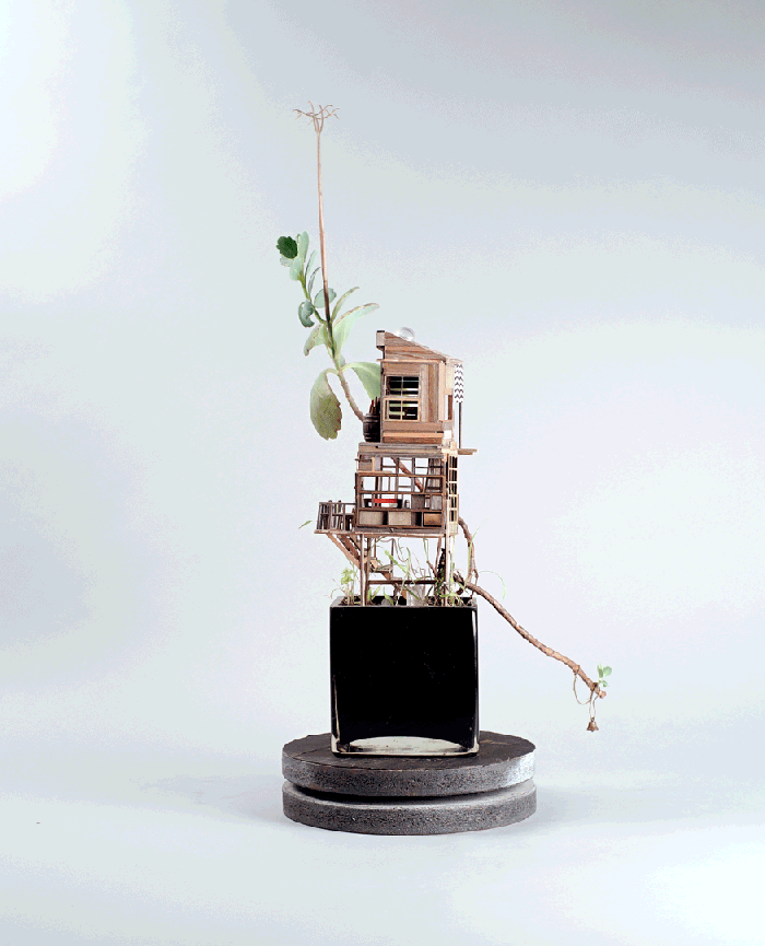 Casas de árbol miniatura en macetas Miniature Treehouses by Jedediah Cowyn Voltz / Casas de árbol miniatura / casahaus.net