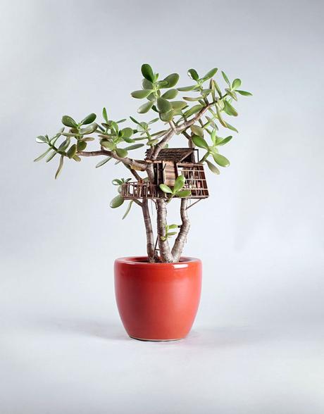 Casas de árbol miniatura en macetas Miniature Treehouses by Jedediah Cowyn Voltz / Casas de árbol miniatura / casahaus.net