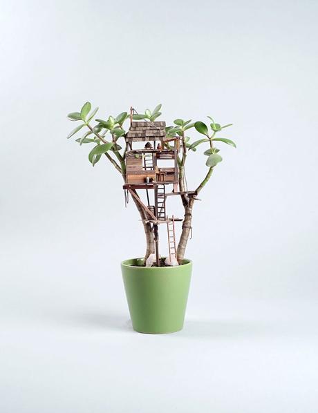 Casas de árbol miniatura en macetas Miniature Treehouses by Jedediah Cowyn Voltz / Casas de árbol miniatura / casahaus.net