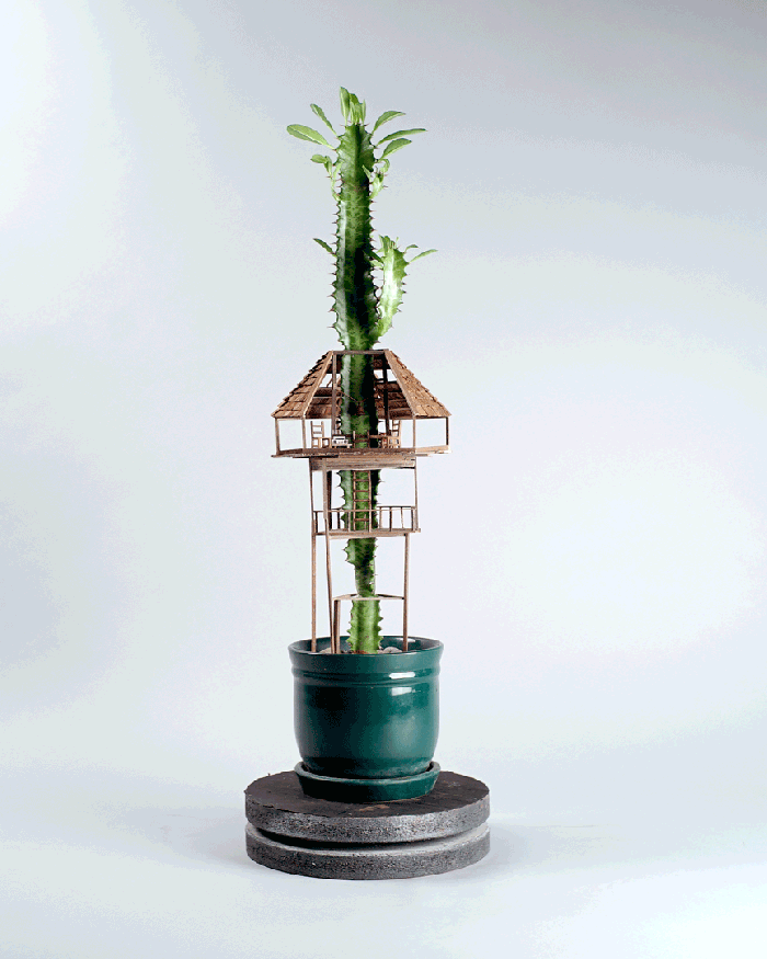 Casas de árbol miniatura en macetas Miniature Treehouses by Jedediah Cowyn Voltz / Casas de árbol miniatura / casahaus.net