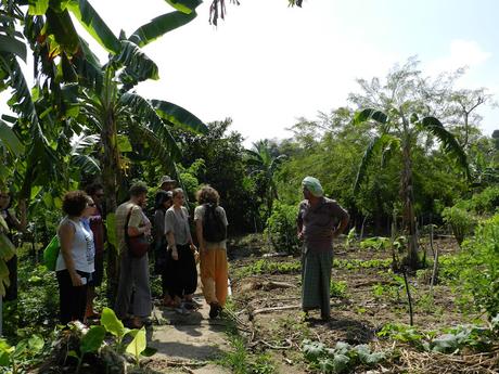 Mi experiencia en la universal ciudad de Auroville (India)