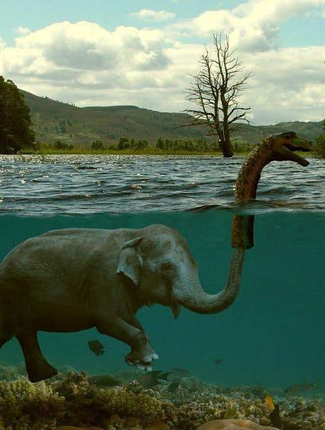 elefante Desmontando teorías…