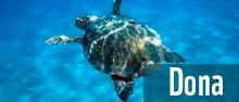 Día Internacional de los Océanos Haz una donación