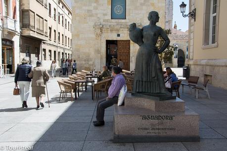 Que ver en Palencia y Medina del Campo en 1 día? [Mini RoadTrip]