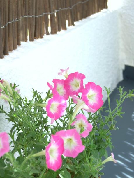 Antes y después de mi terraza Antes y después de mi terraza