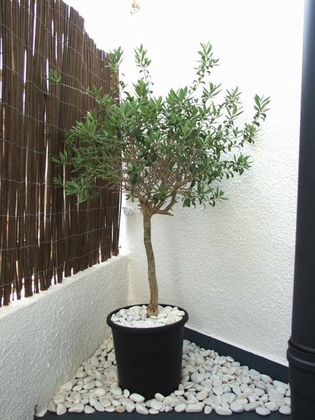 Antes y después de mi terraza Antes y después de mi terraza