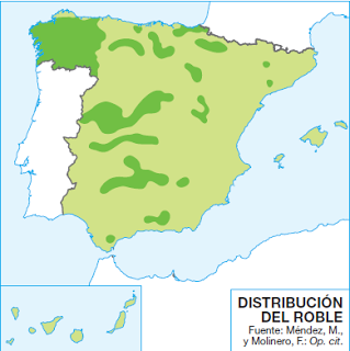 EL PAISAJE VEGETAL ESPAÑOL DE LA REGIÓN EUROSIBERIANA (CLIMA OCEÁNICO)