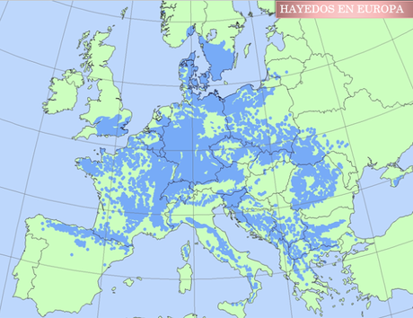 EL PAISAJE VEGETAL ESPAÑOL DE LA REGIÓN EUROSIBERIANA (CLIMA OCEÁNICO)