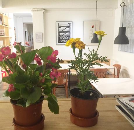 Idò Balear, un viaje gastronómico a las Baleares en el barrio de Sant Antoni idò balear restaurante barcelona
