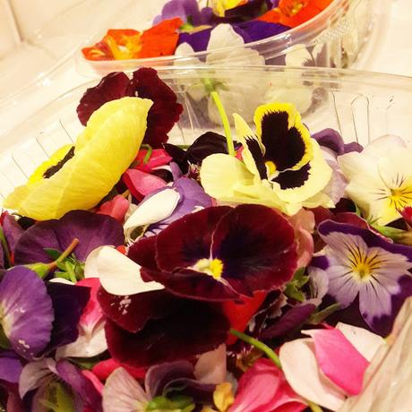 Flores en tu plato. Flores en tu plato.