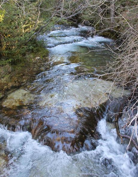 El nacimiento del río Cuervo, la mejor sinfonía de la naturaleza Caudal del río Cuervo