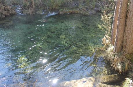 El nacimiento del río Cuervo, la mejor sinfonía de la naturaleza El agua del río Cuervo, totalmente cristalina