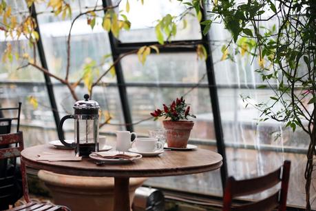 Plantas preservadas en Interiorismo Restaurantes