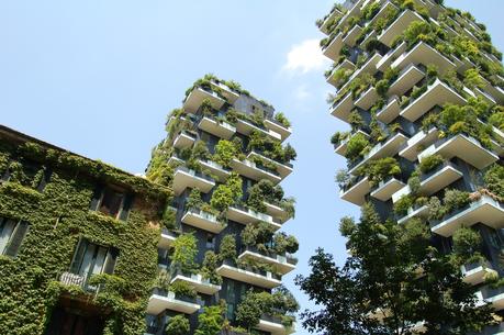 Fachadas vegetales Diseño y plantas