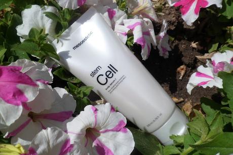 Stem Cell Body Serum: El Tratamiento Antiedad Corporal Stem Cell Body Serum: El Tratamiento Antiedad Corporal