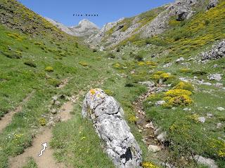 Alto'l Palo-Pico Rozas-La Lastrona-Peña la Carba-Robledo de Caldas-El Panazal